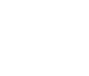 khameleonpost.com